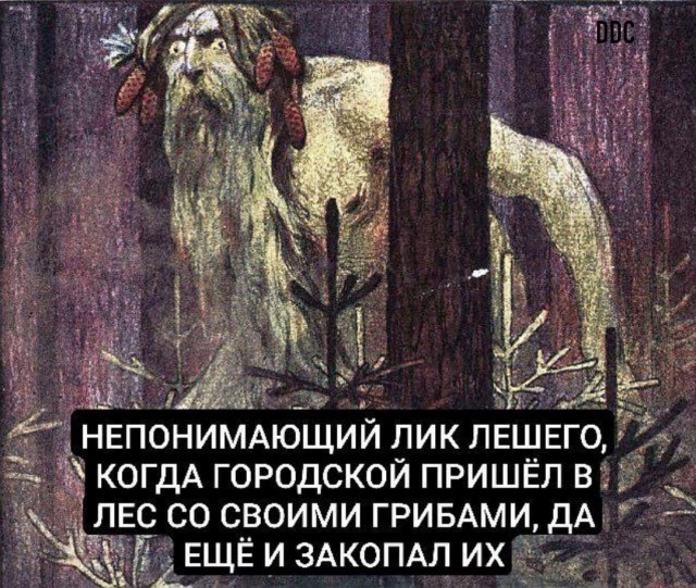 Так себе картинки 11.04.23