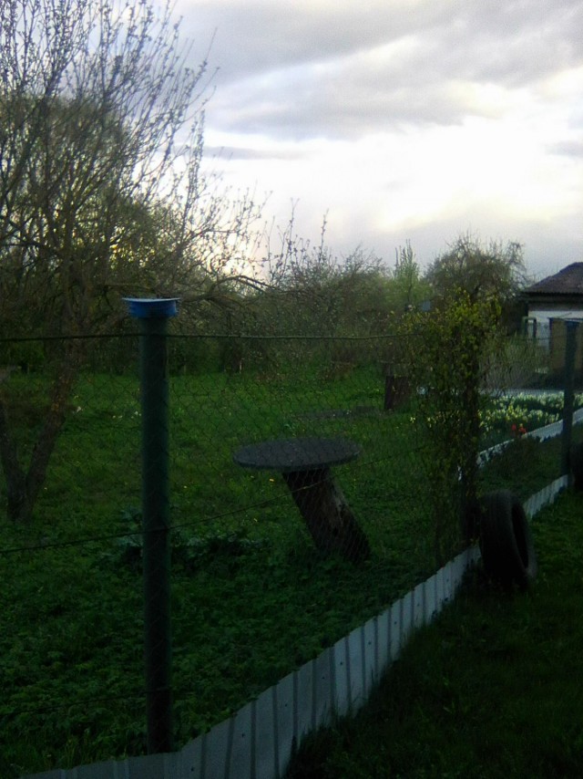 Жить ли с РСП?