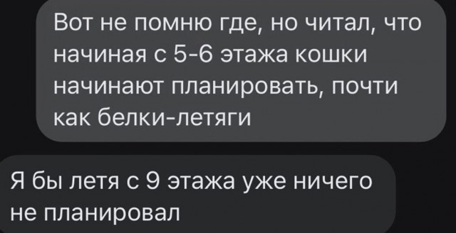 Так себе картинки 17.08.23