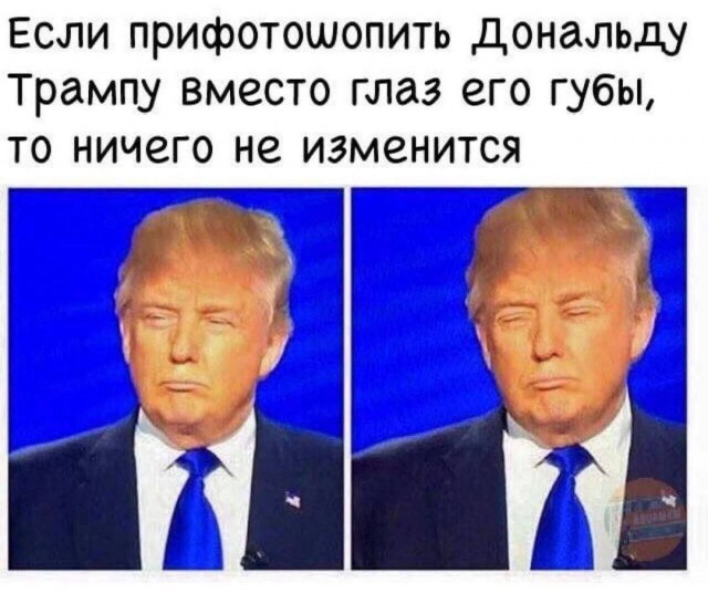 Весёлый полтишок 21.08.23
