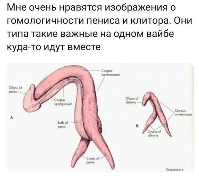 Так себе картинки 27.08.23