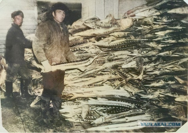 Фотографии из прошлого нашей страны - 40