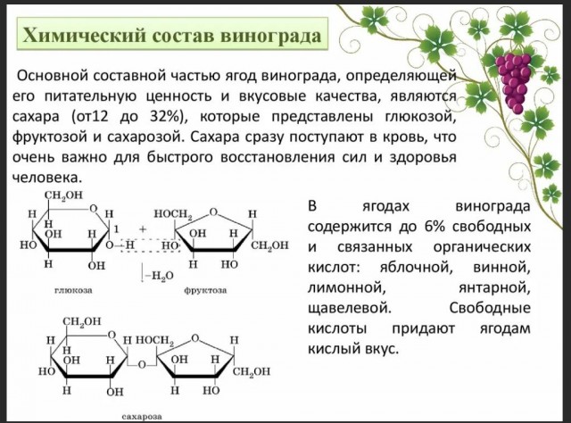Химия и жизнь