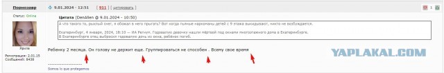 Глава СК Бастрыкин поручил возбудить уголовное дело в отношении блогера Сергея Косенко, который кинул своего сына в снег