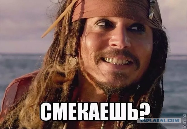 Пара за два месяца построила плавающий микродом и возвращаться жить на сушу не планирует