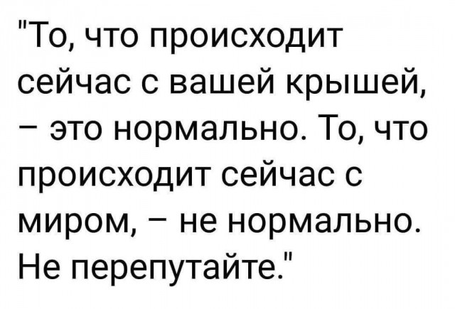 Всего понемногу. От 21.01.24