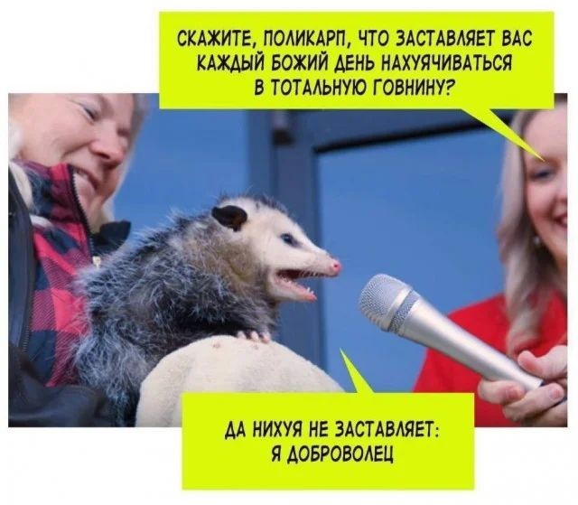 Прикольные и просто красивые картинки 16.02.2024