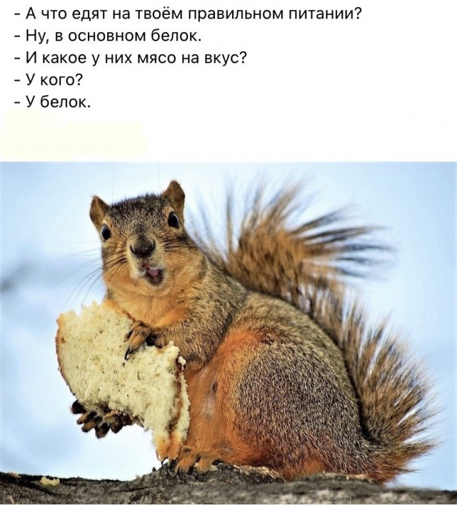 Тлидцать тли от 14 маЛта