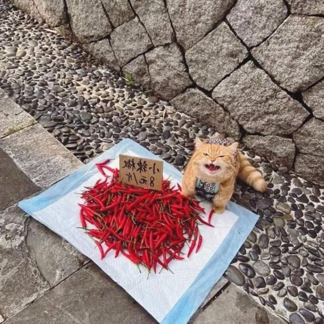 Картинки
