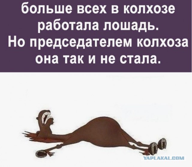 Постыдные скрины перлов с сайтов знакомств