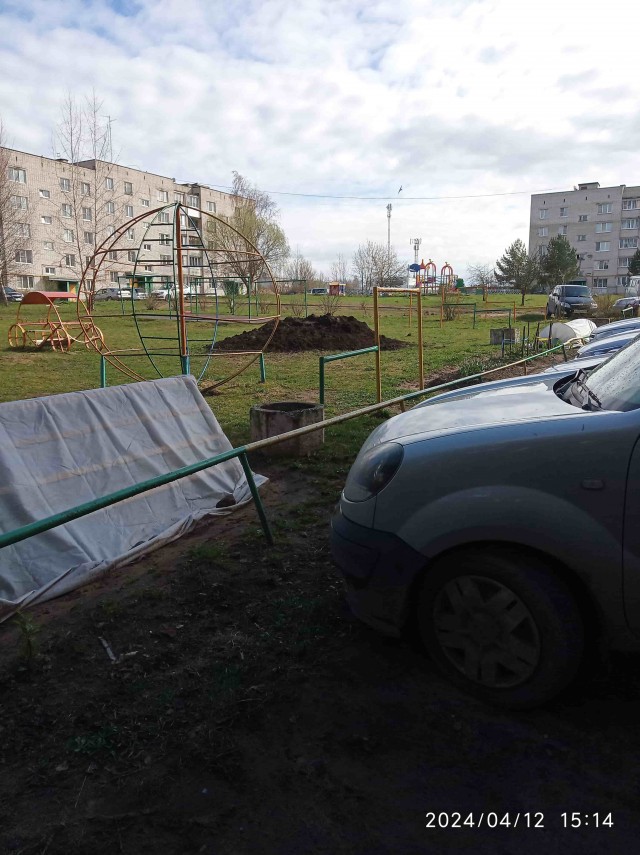 Клумба во дворе 2024 весна