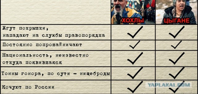 В Курской области цыганский табор грабит опустевшие дома жителей.