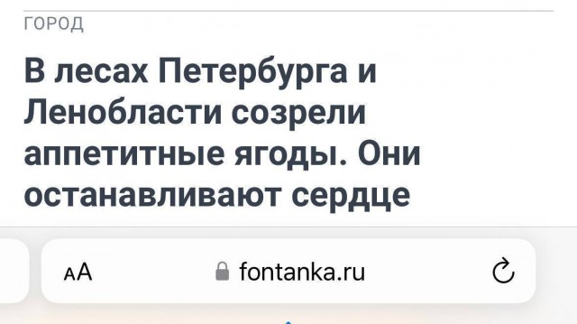 Всего понемногу. От 19.09.24