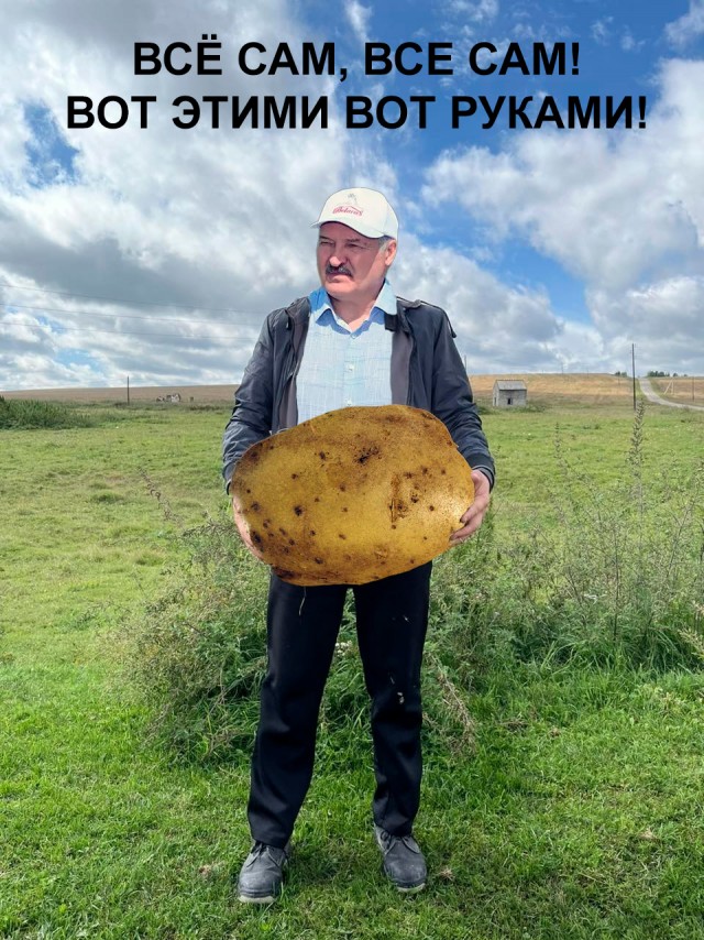 Быстрая тихая охота