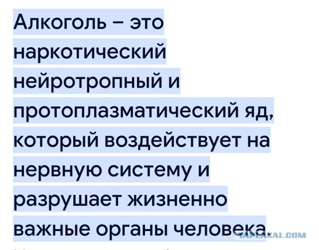 Активно встречался с алкоголем