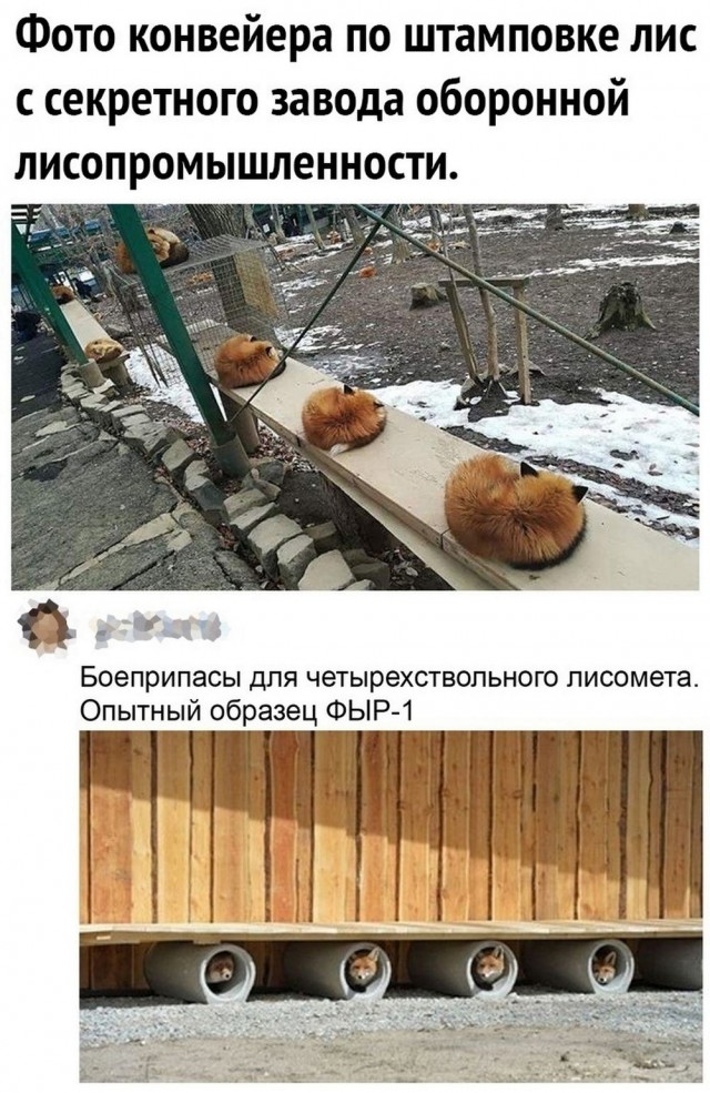 Синий Винстон