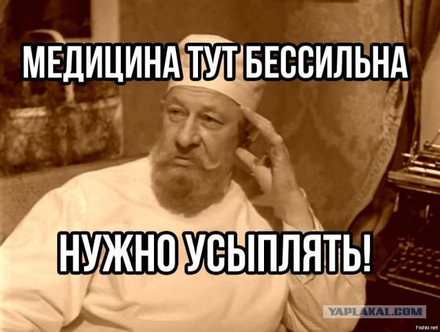 Соня, тормоз...