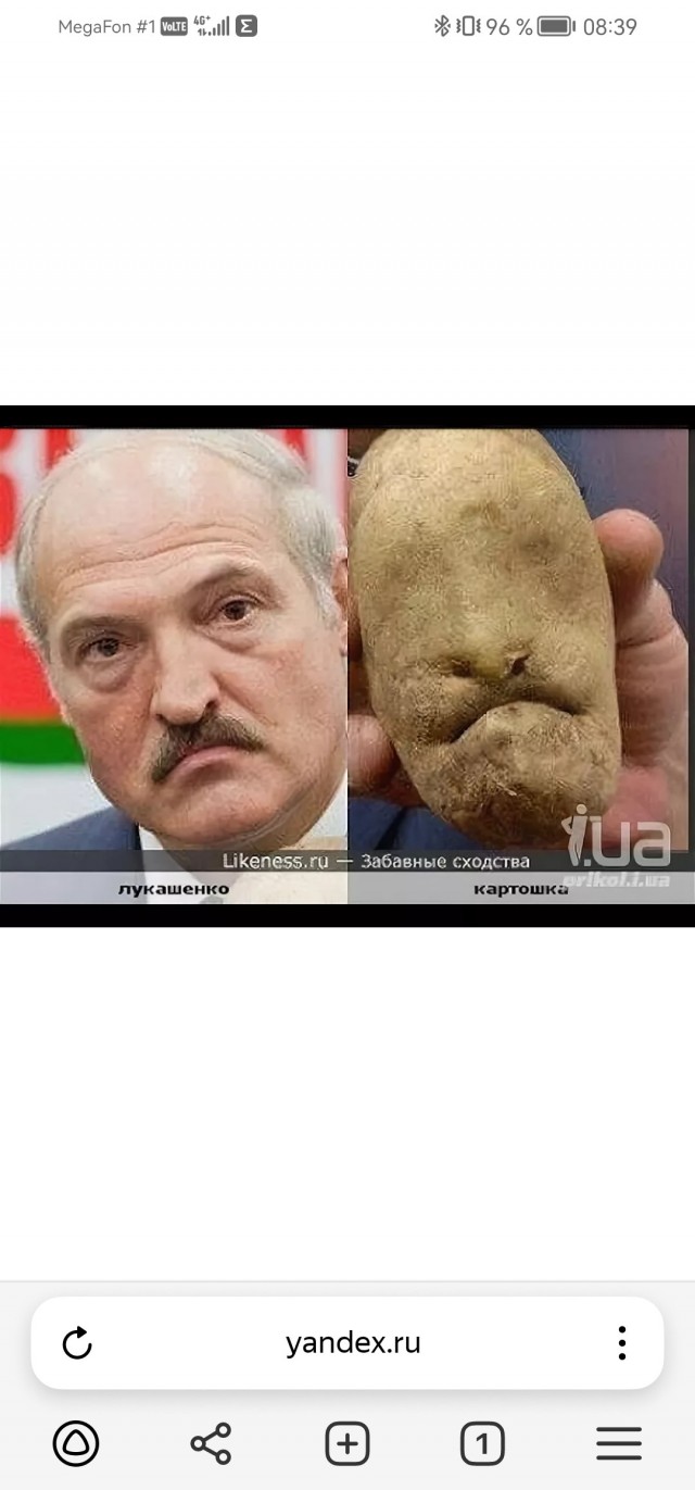 Любимый харч мировых лидеров