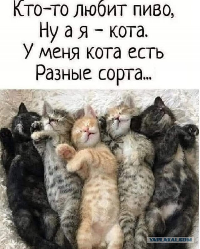 Разные сорта.