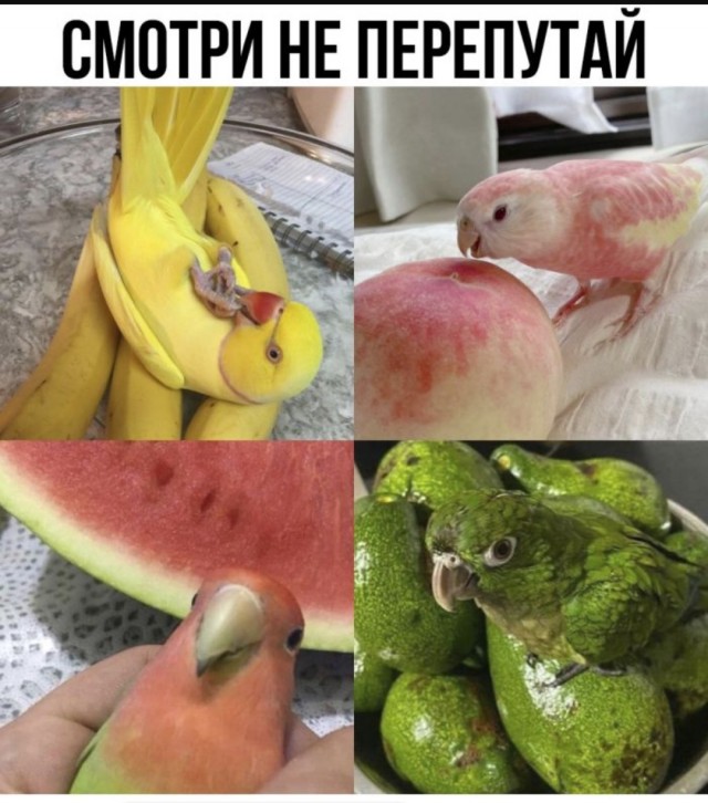 Так себе картинки 14.06.25
