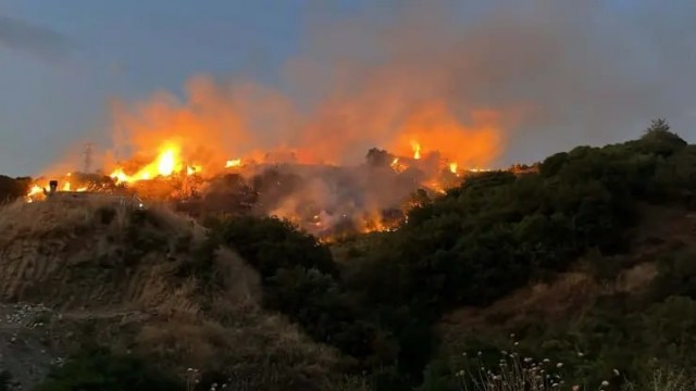 Турок устроил лесной пожар, пытаясь сжечь клеща, — CNN Türk.