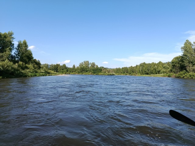 Сплав