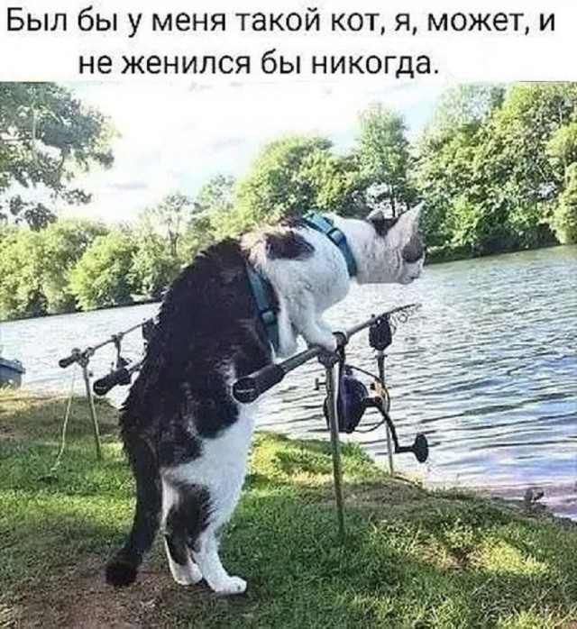 Так себе картинки 20.07.25