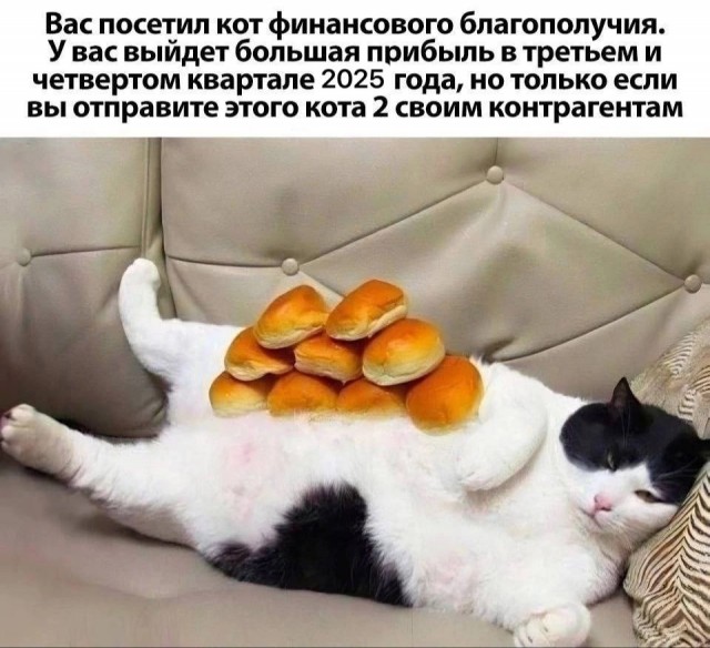 Картинки для деградации 17 (разной степени свежести)