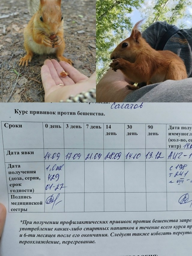 Так себе картинки 17.09.25