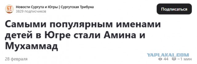 Бибихоним и Ризобик стали самыми редкими именами новорожденных в России