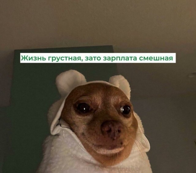 Картиночки, баянчики..