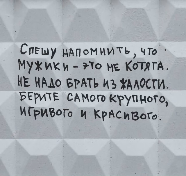 Так себе картинки 16.12.25