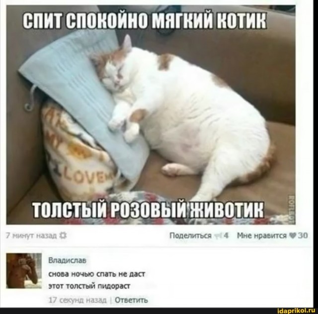 Говорят, не ИИ