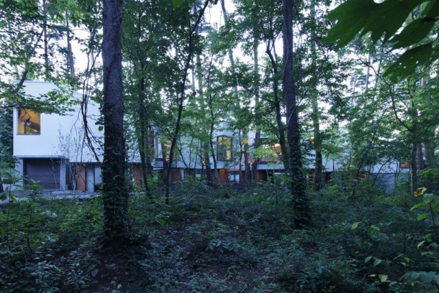 Как построить дом посреди леса