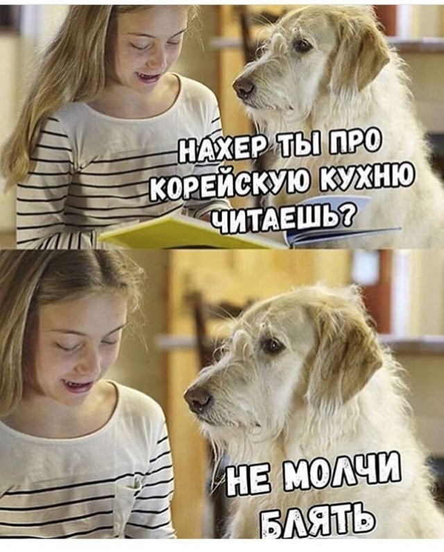 Картинки для деградации 181 (разной степени свежести)