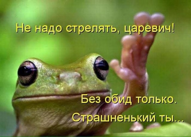 Картинки для деградации 189 (разной степени свежести)
