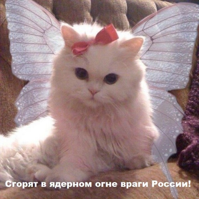 В Сербии новая попытка майдана — десятки тысяч вышли против Вучича