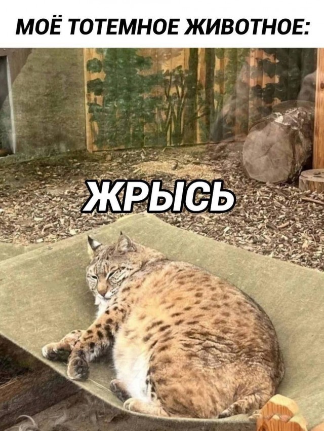 Несчастный случай