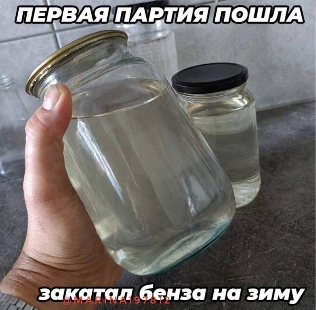 Закатал на зиму