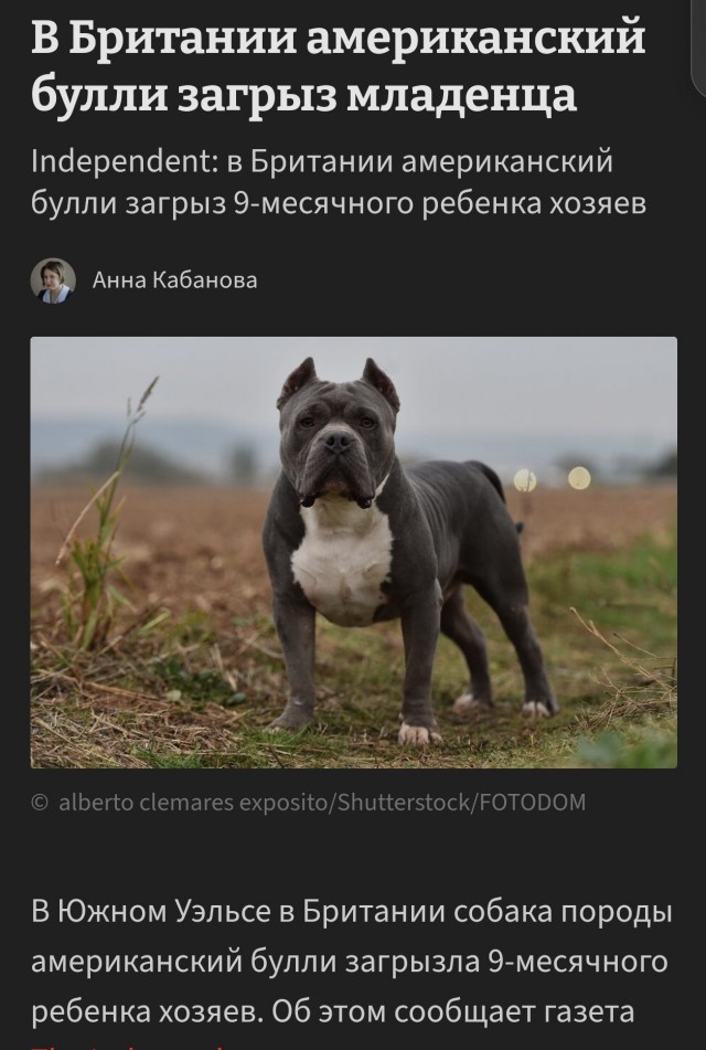 Вот мои