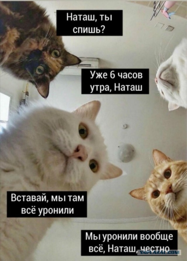 С добрым утром страна