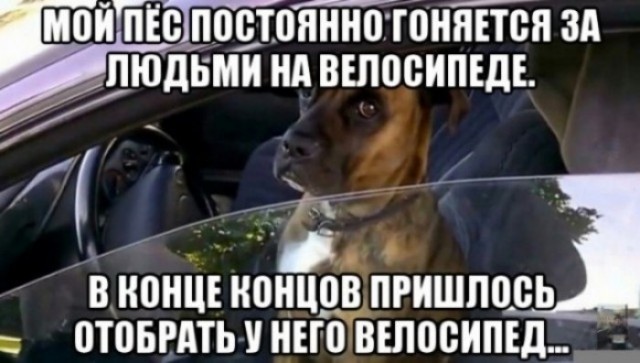 Эбокартинки с эбонадписями