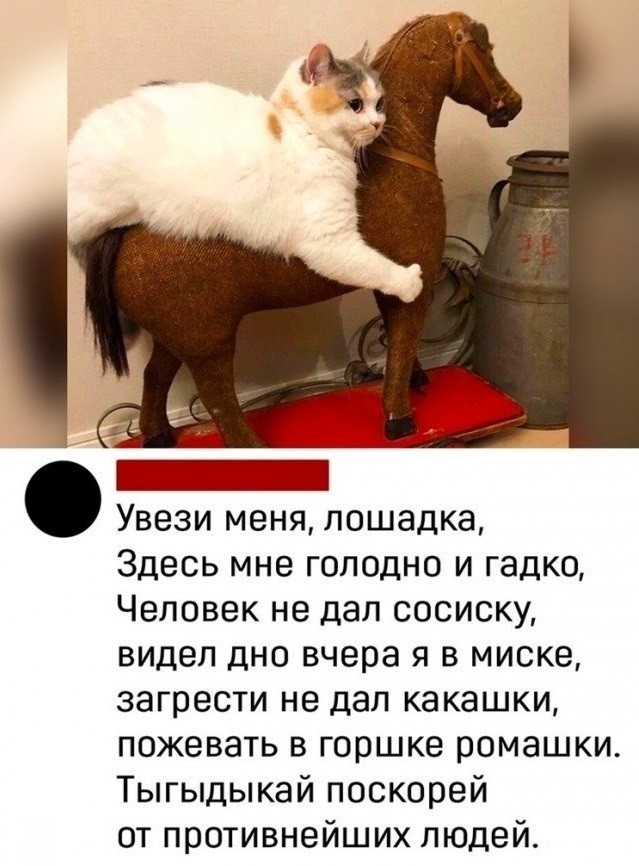 Немного поэзии...