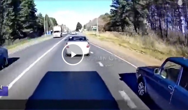 Торопыжка был голодный
