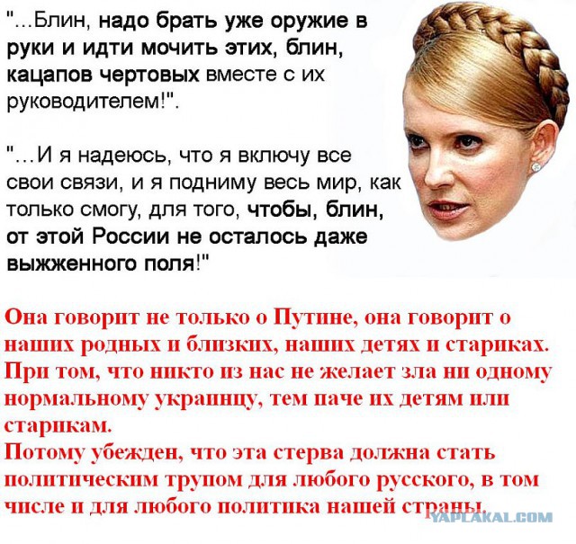 Тимошенко предложила провести референдум