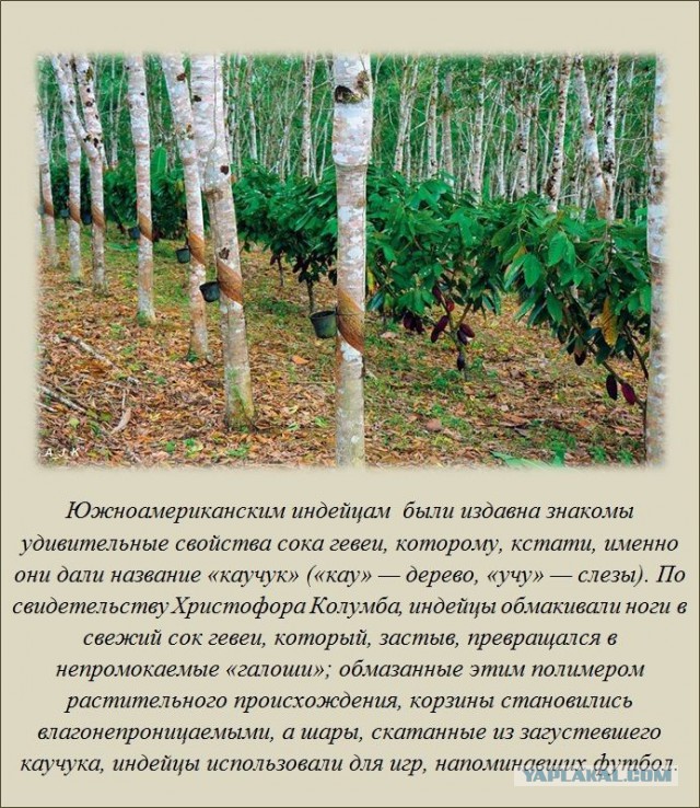 20 фактов обо всем