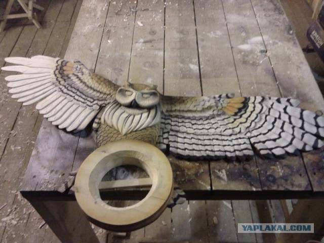 Как нарисовать сову