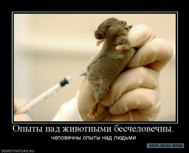 Малолетка