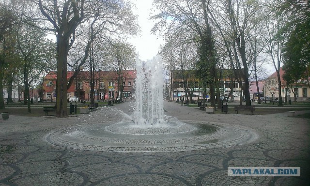 Поляки уверены что русские хотят их убить!