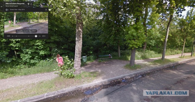 Google Street View ворвался нежданно на вечеринку